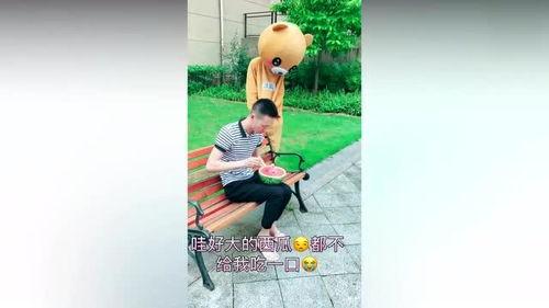 吃瓜小熊网红叫什么,揭秘网红界的“瓜王”传奇